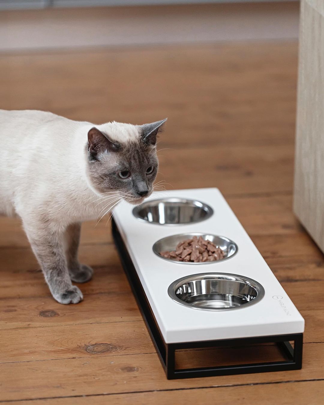 Three Bowls Lunch Bar for Cats