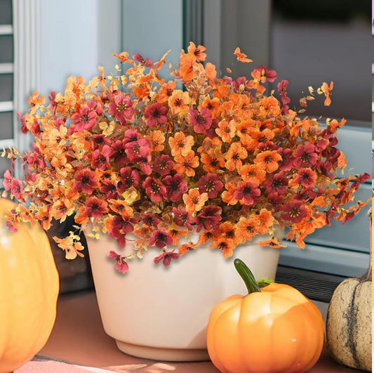 EcoBloom Outdoor Flower Set