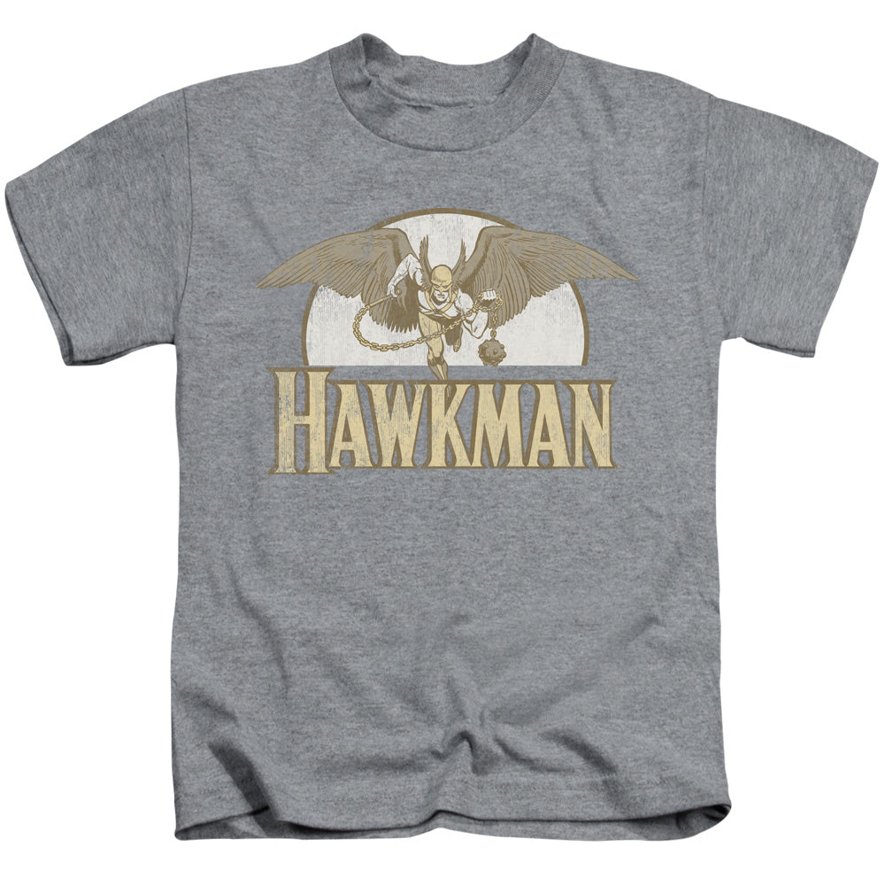 DC Comics Fly by Juvenile Kids Youth T Shirt Athletic Heather Officially Licensed