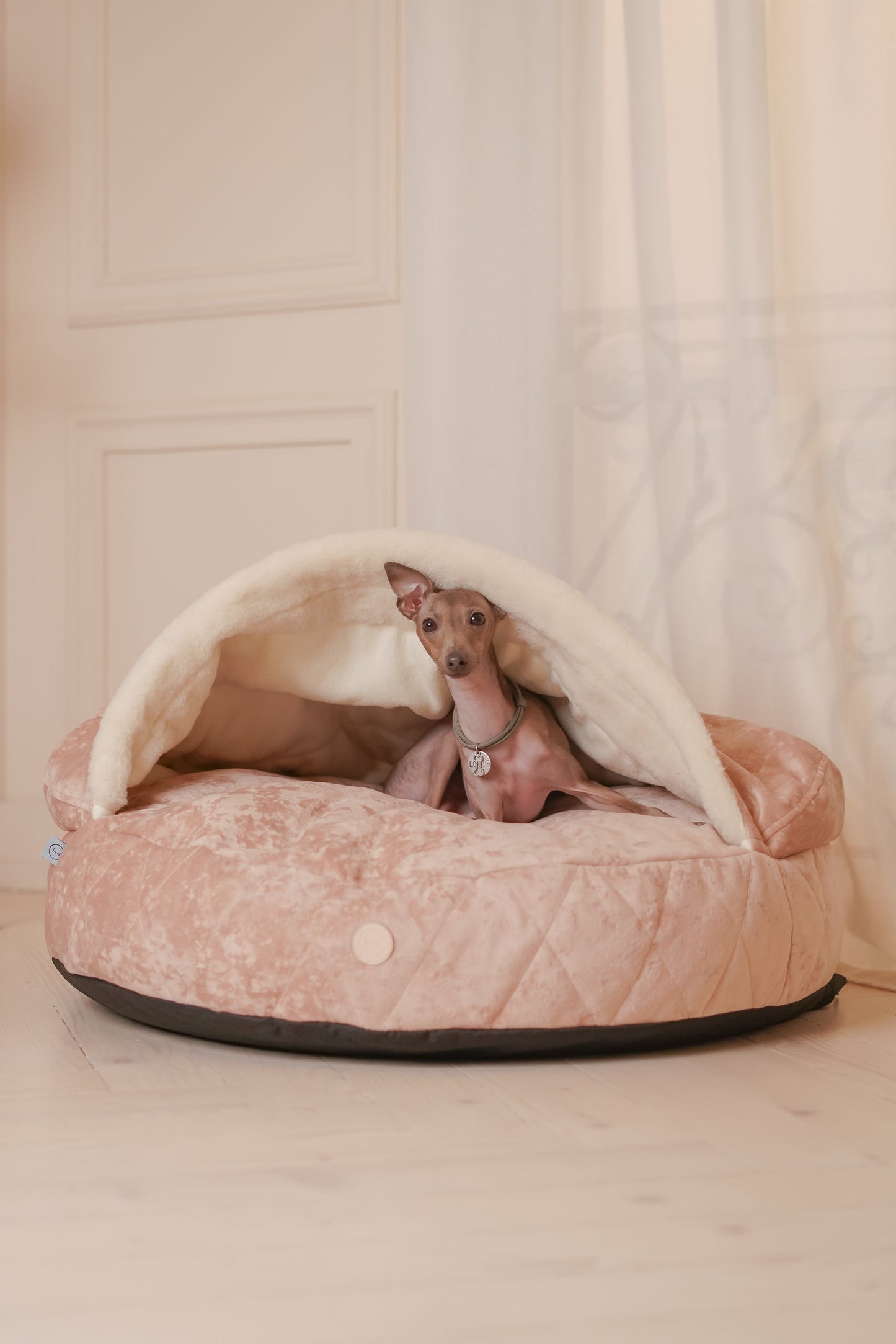 Cover Dog Bed