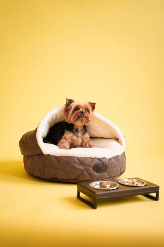 Cover Dog Bed