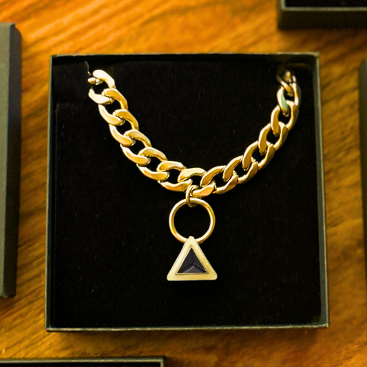 Fierce Gold Pet Necklace | DIPHDA