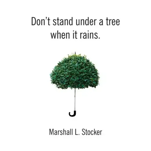 Don't Stand Under a Tree When It Rains