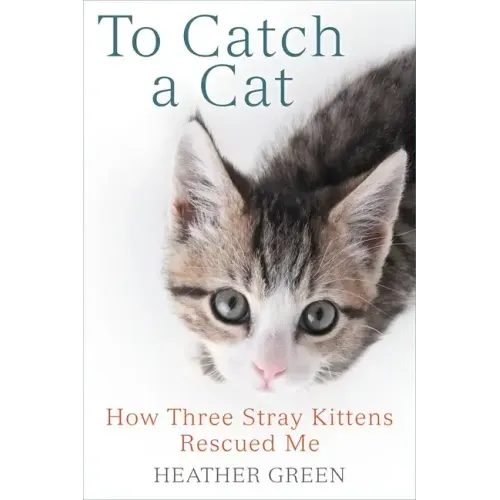To Catch a Cat: How Three Stray Kittens Rescued Me