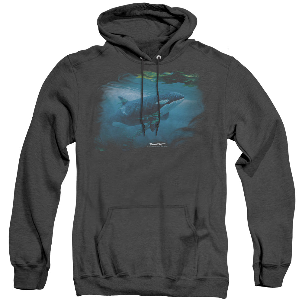 Wildlife Pursuit Thru The Kelp Orca Mens Heather Hoodie Black Officially Licensed