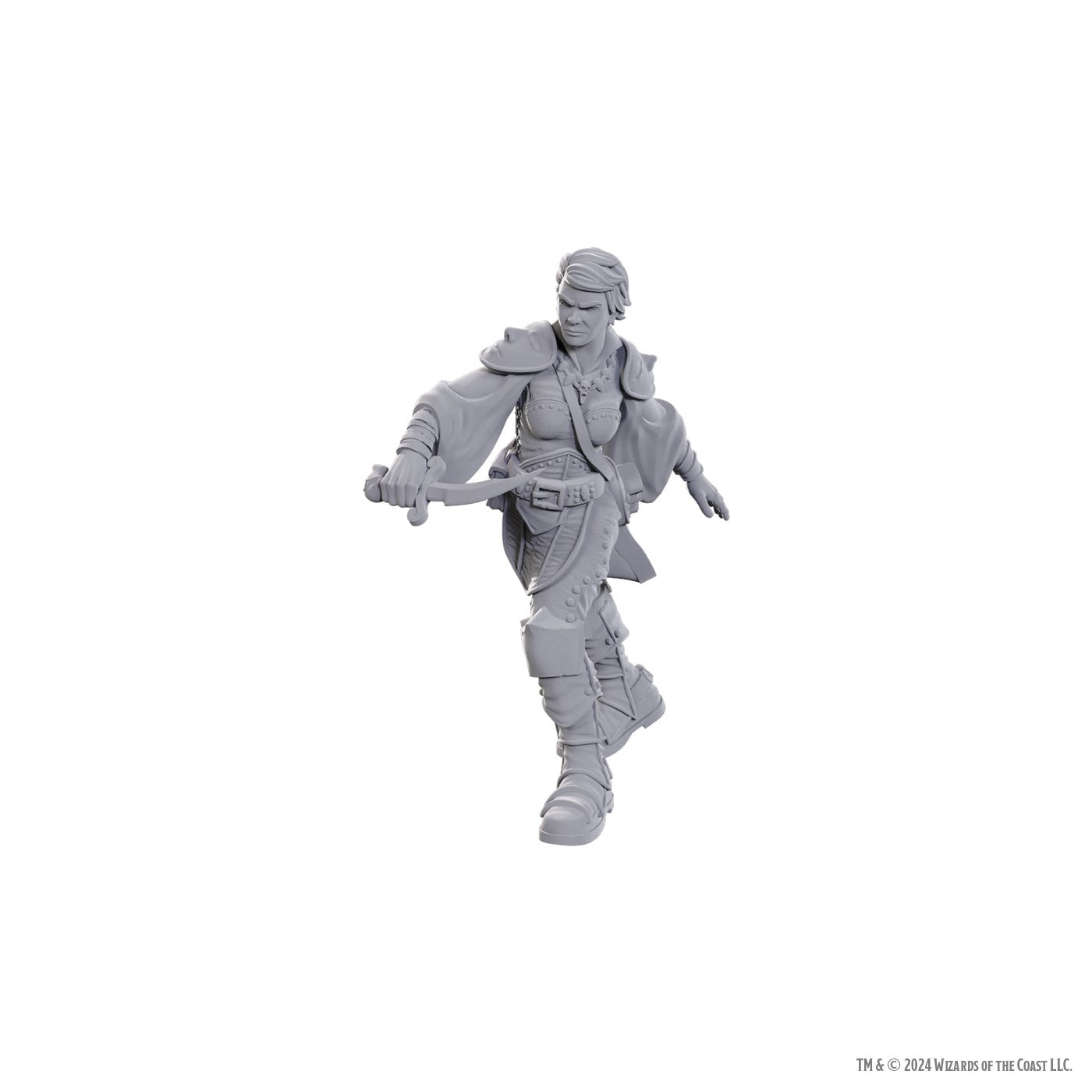 D&D Nolzur's Marvelous Miniatures: Swashbuckler