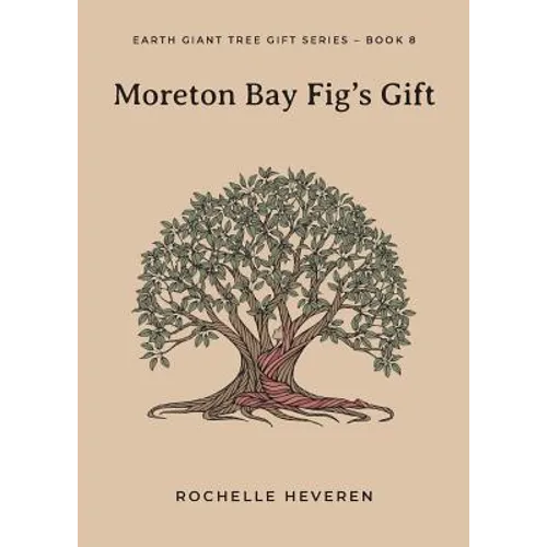Moreton Bay Fig's Gift