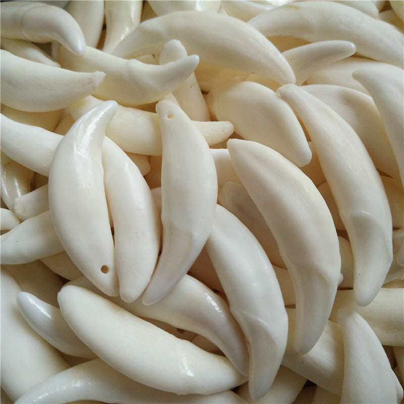 Wolf Tooth Pendant Bleached Necklace Ornament