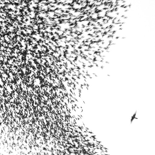 Wilco - Sky Blue Sky [LP] Vinyl Record