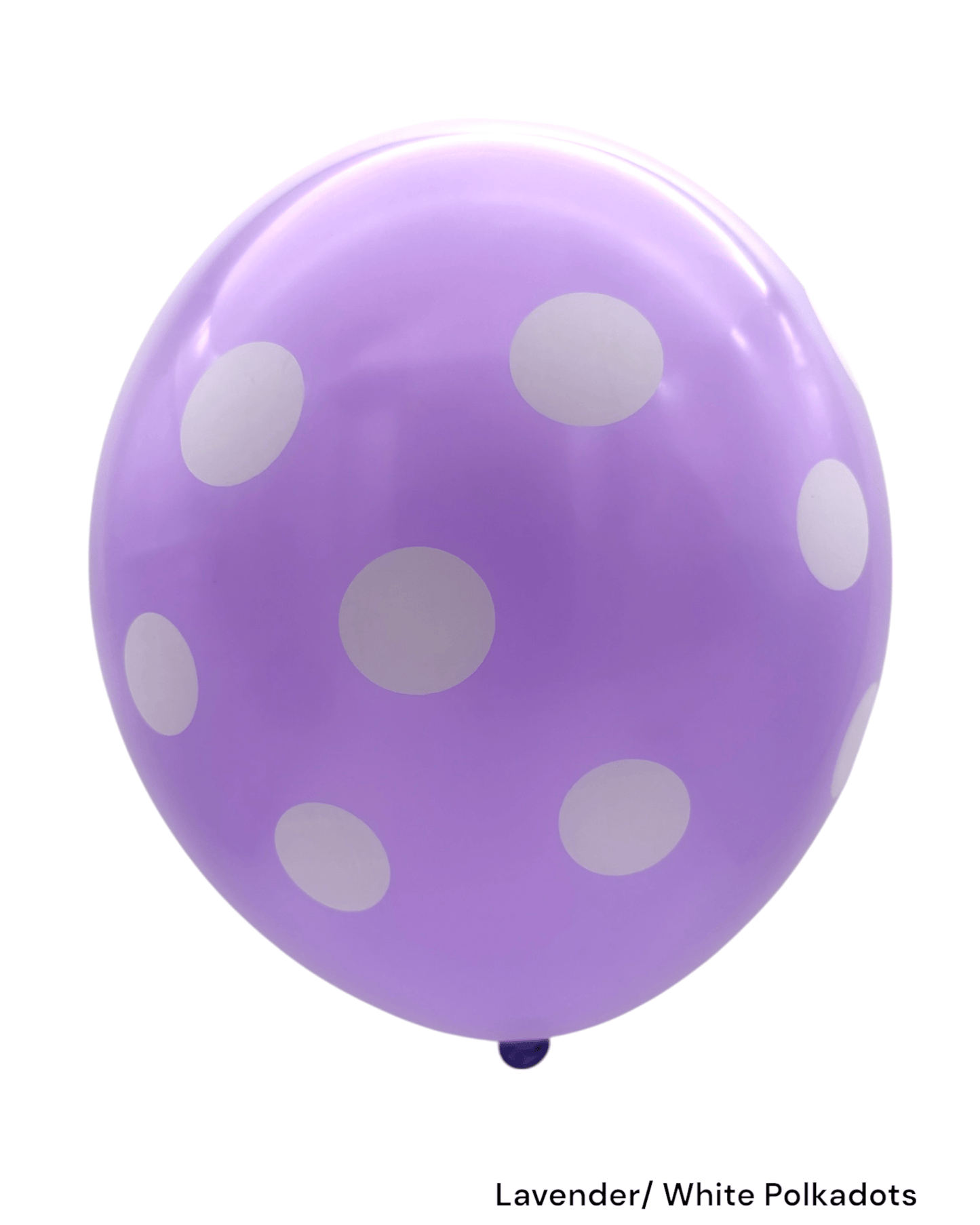 12" Polka Dots (72ct)