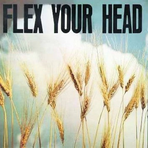 Flex Your Head - Flex Your Head [LP] Vinyl Record