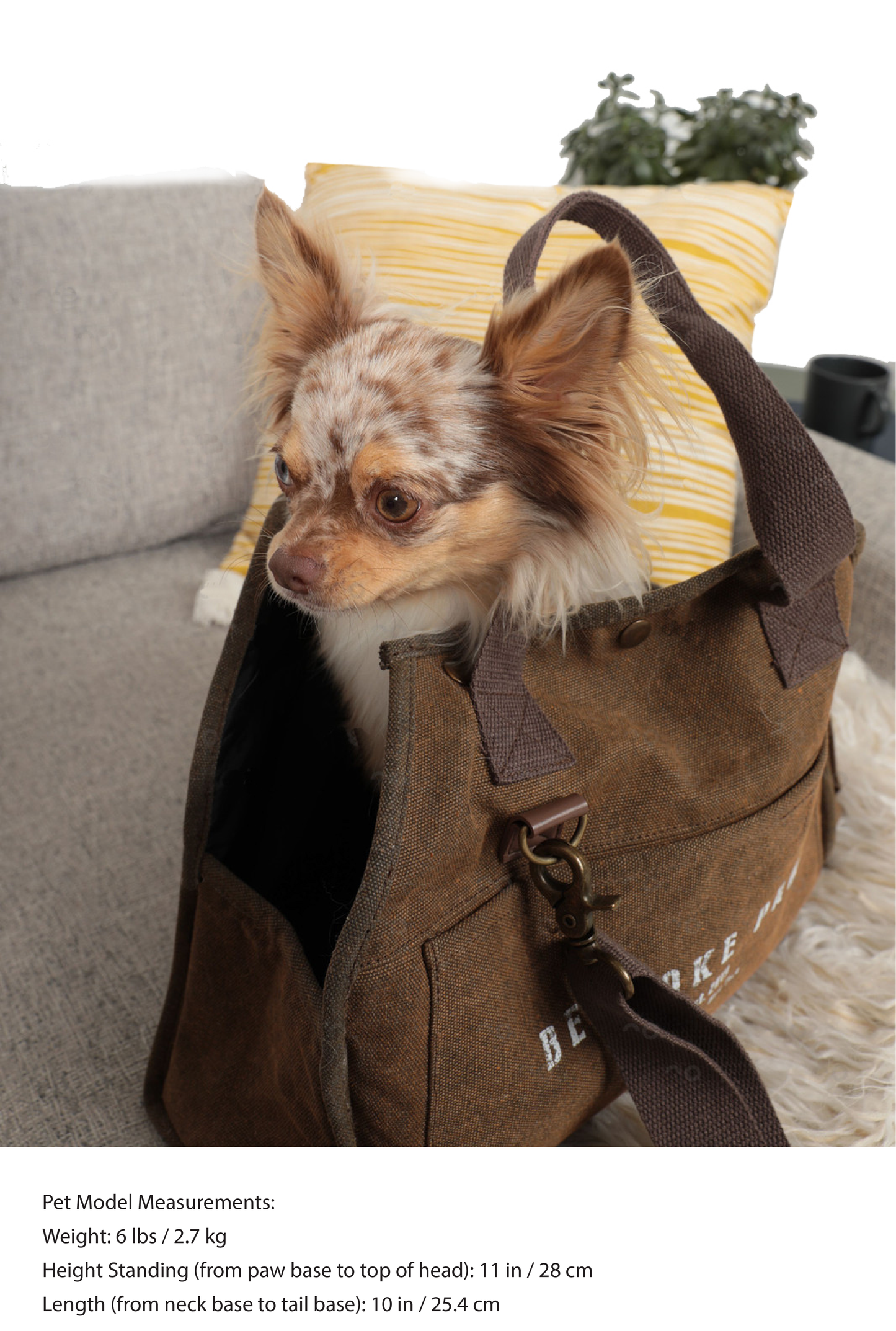 'The Daily' Packable Pet Carrier-S-Black