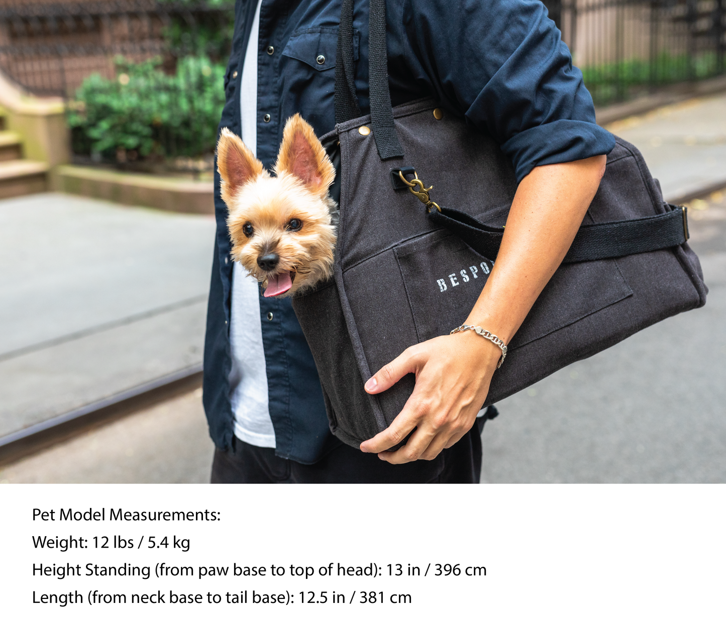 'The Daily' Packable Pet Carrier-M-Black
