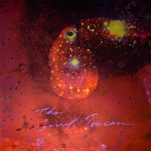 Monopoly Child Star Searchers - The Garnet Toucan [LP] Vinyl Record