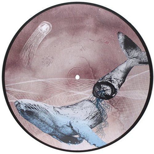 Mestis - Basal Ganglia [LP] Vinyl Record