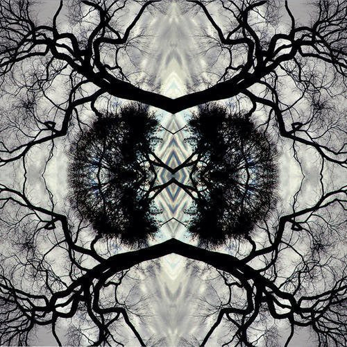 Adam Rudolph - Sonic Mandala Go: Organic Orchestra [LP] Vinyl Record