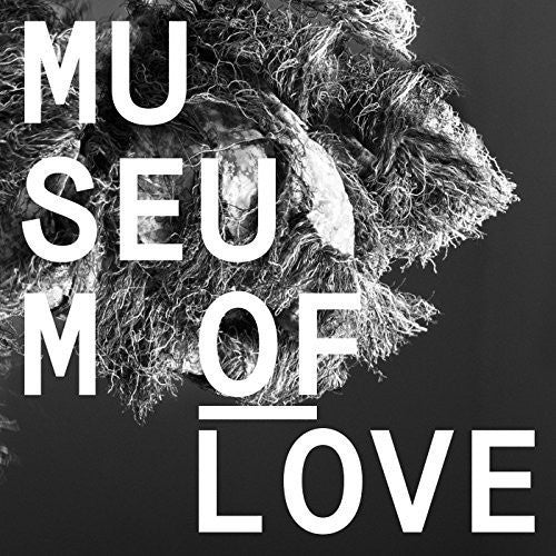 Museum Of Love - Museum Of Love [Vinyl] Vinyl Record