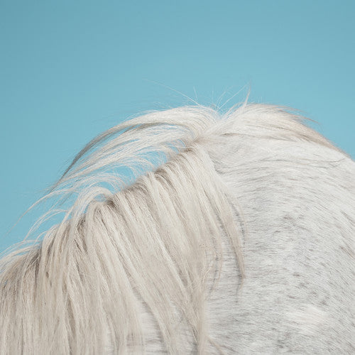 Widowspeak - All Yours [Vinyl] Vinyl Record