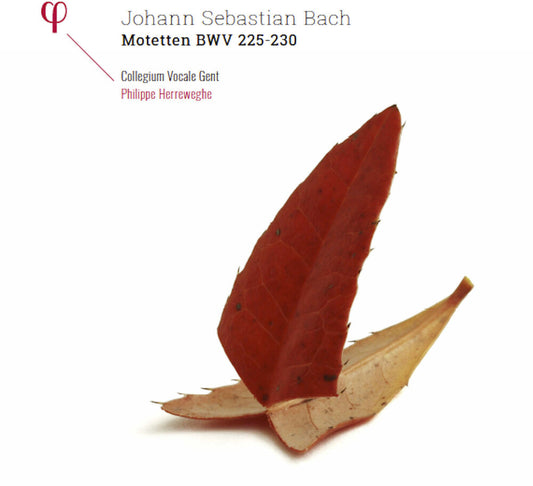Bach / Philippe Herreweghe / Collegium Vocale Gent - Johann Sebastian Bach: Motetten BWV 225-230 [LP] Vinyl Record
