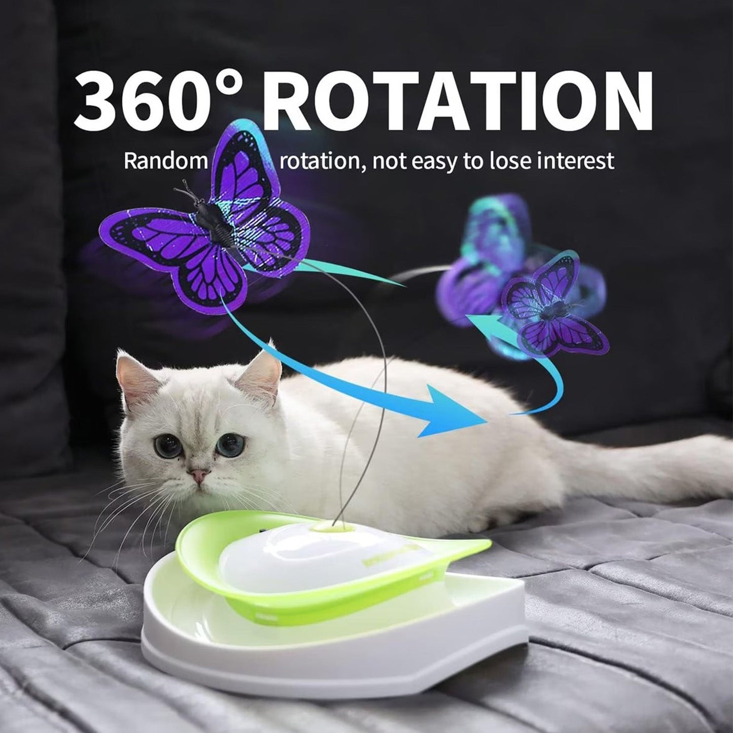 Interactives - Cat Toys - Roll Around Flutter Bug for Enrichment