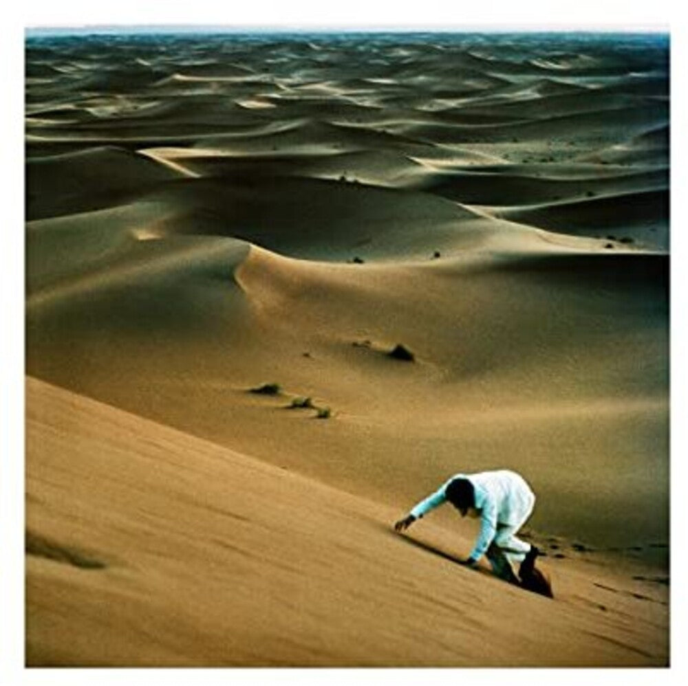 Baxter Dury - Prince Of Tears [LP] Vinyl Record