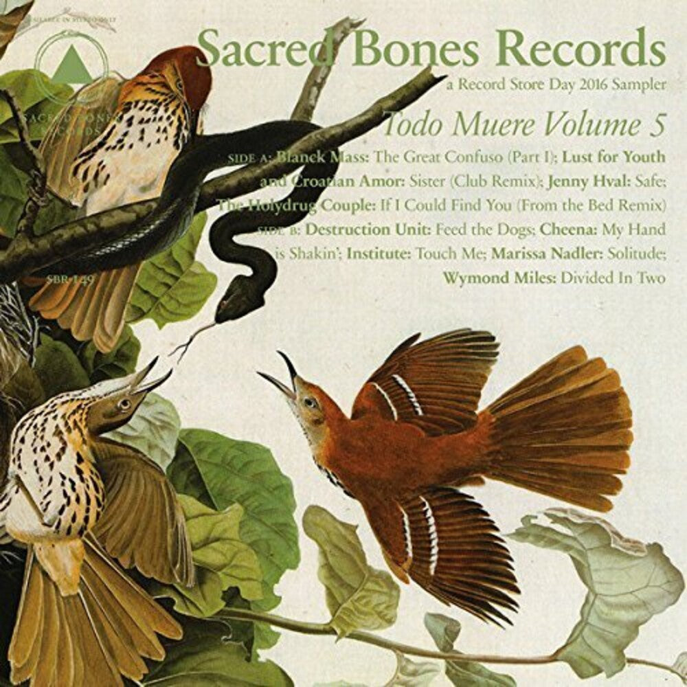 Todo Muere Vol 5 / Various - TODO MUERE VOL 5 / VARIOUS [LP] Vinyl Record