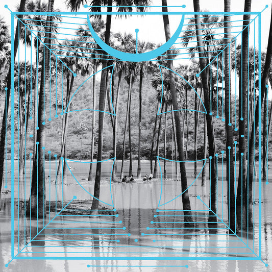 Four Tet - Pink [Vinyl] Vinyl Record
