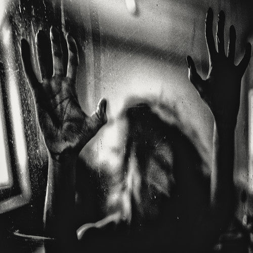 Behind The Shadow Drops - Harmonic [LP] Vinyl Record