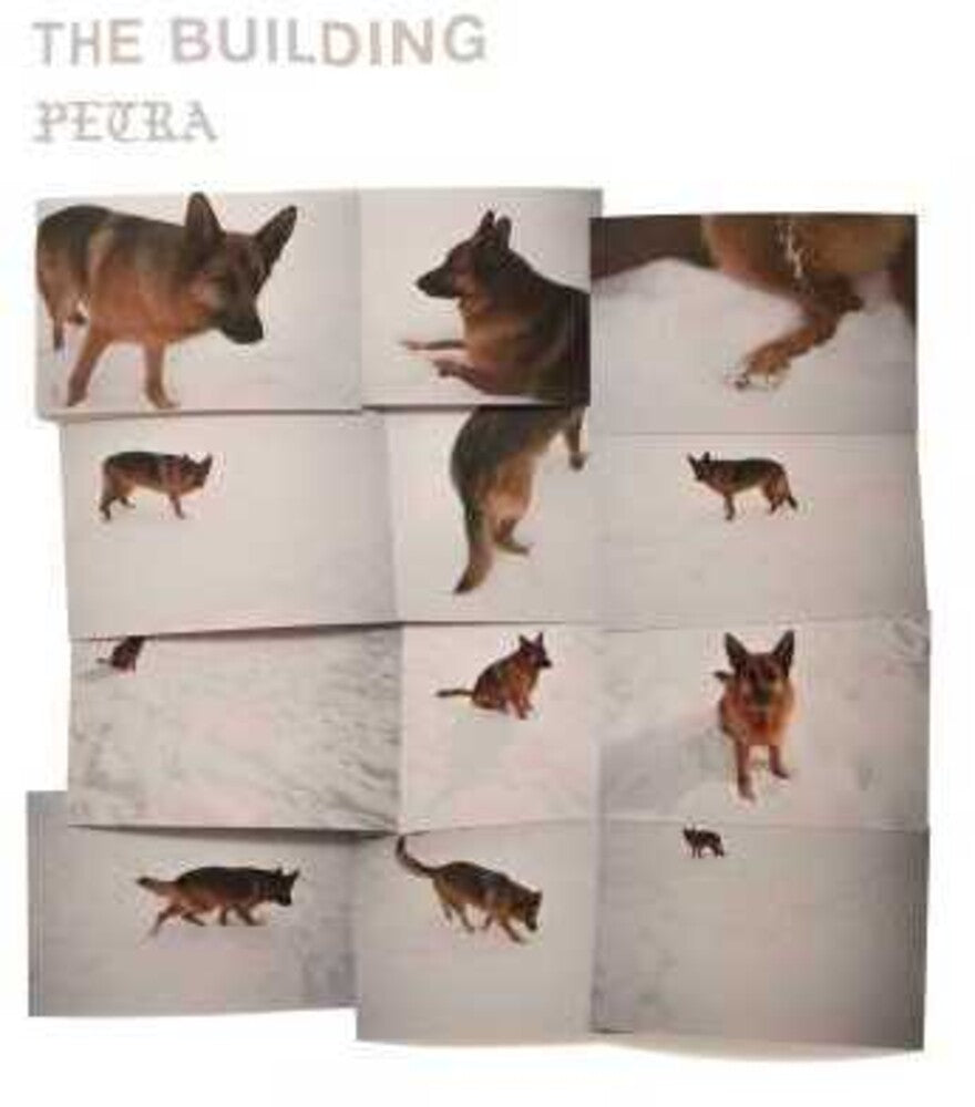 The Building - PETRA [LP] Vinyl Record