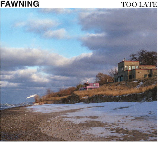 Fawning - Too Late (Indie Exclusive) [Colored Vinyl] [180 Gram] (Wht) Vinyl Record