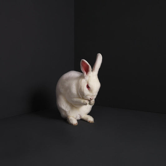 Brume - Rabbits [LP] Vinyl Record