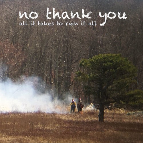 No Thank You - All It Takes To Ruin It All [LP] Vinyl Record