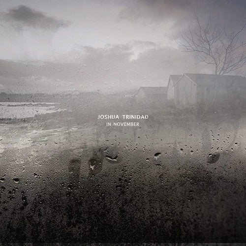 Joshua Trinidad - In November [180 Gram] Vinyl Record