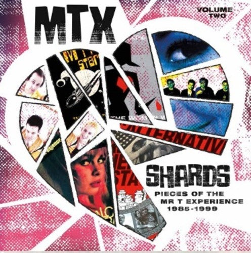 Mr T Experience - Shards Vol. 2 [LP] Vinyl Record