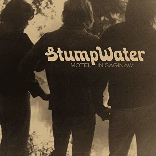 Stumpwater - Motel In Saginaw [LP] Vinyl Record