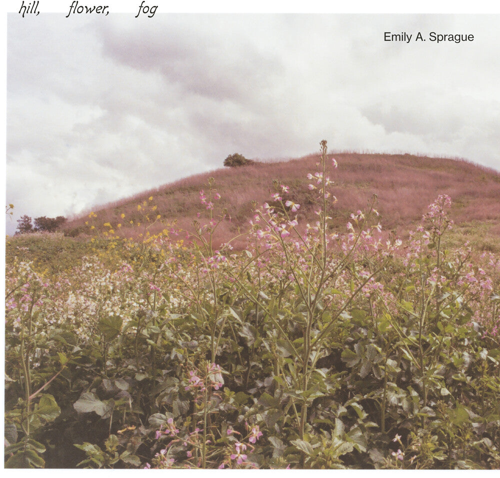 Emily Sprague A - Hill, Flower, Fog [LP] Vinyl Record