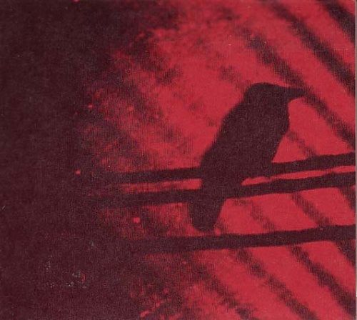 Silver Mt. Zion - Born Into Trouble As the Sparks Fly Upward [LP] Vinyl Record