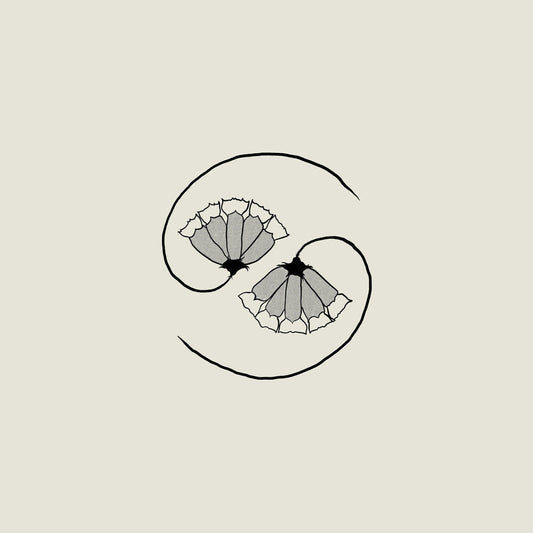 Godspeed You! Black Emperor - G_D's Pee At State's End! [180 gram LP + 10in] Vinyl Record