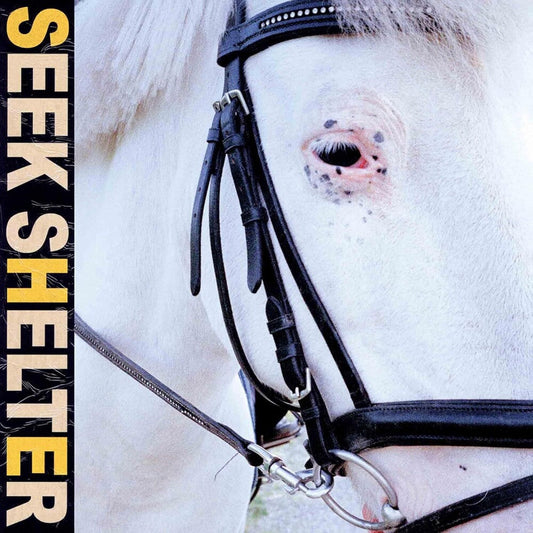 Iceage - Seek Shelter [LP] Vinyl Record