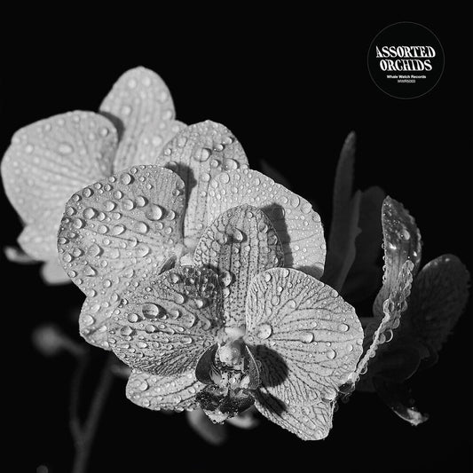 Assorted Orchids - Assorted Orchids [LP] Vinyl Record