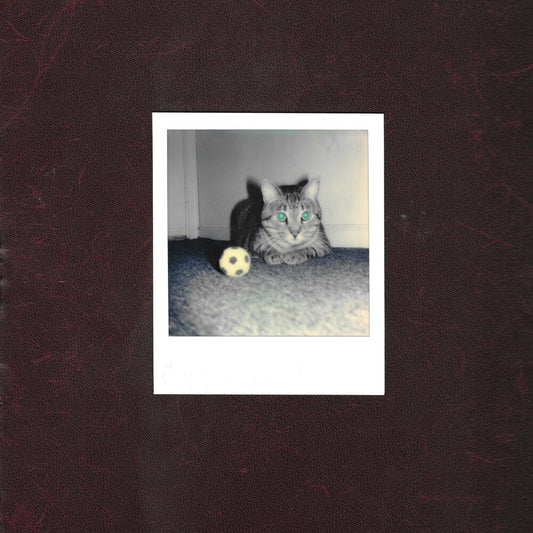 Goalie's Anxiety At The Penalty Kick - Ways Of Hearing [LP] Vinyl Record