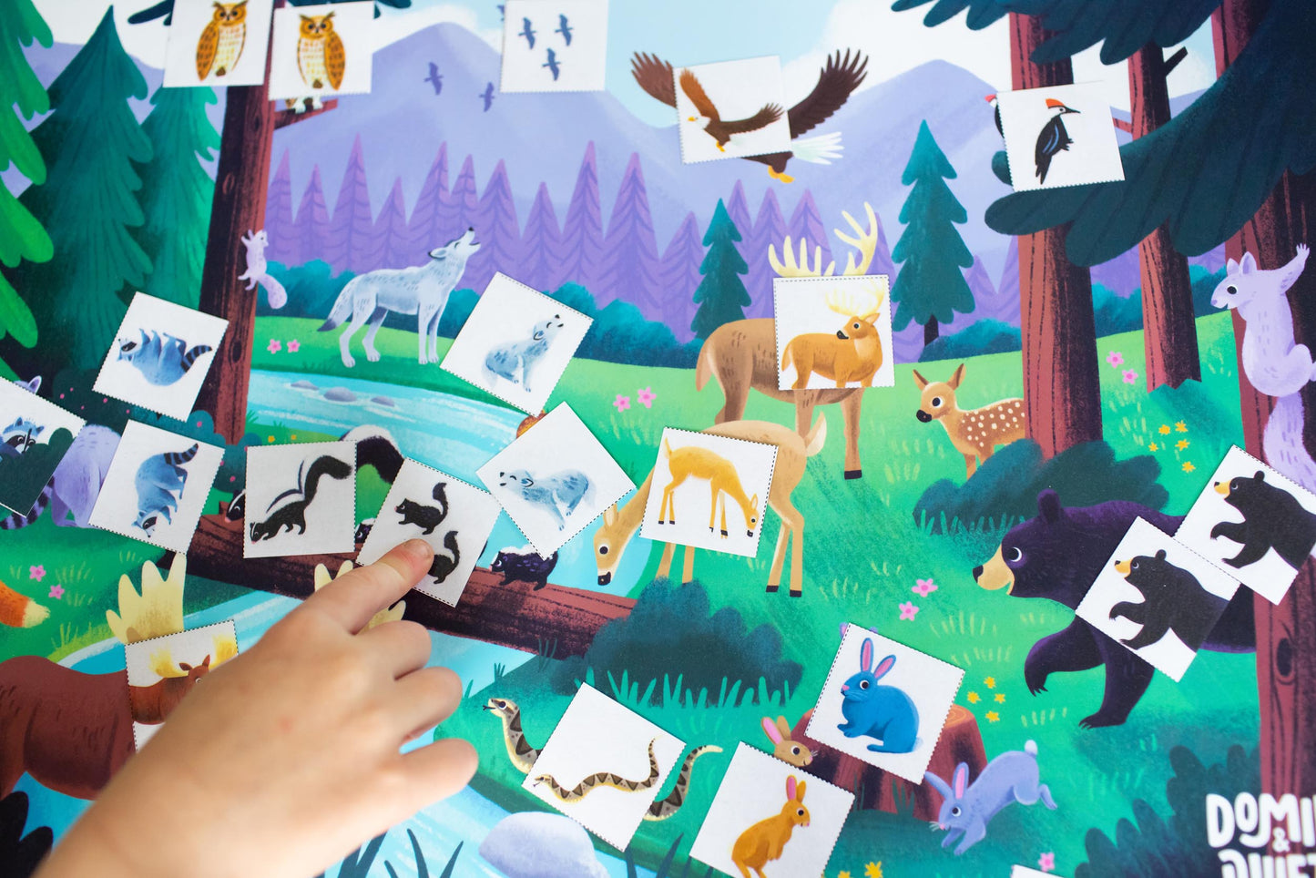4-Pack Placemat Bundle: “Farm Sea to Shining Sea”