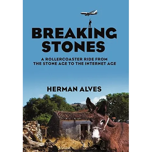 Breaking Stones: A Rollercoaster Ride from the Stone Age to the Internet Age
