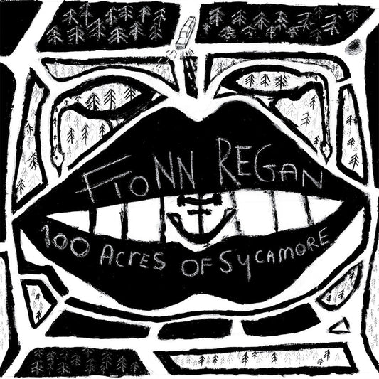 Fionn Regan - 100 Acres Of Sycamore [LP] Vinyl Record