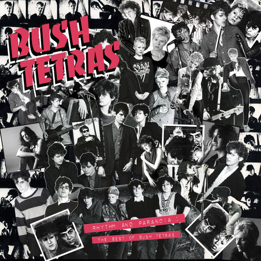 Bush Tetras - Rhythm & Paranoia: The Best Of Bush Tetras [LP] Vinyl Record