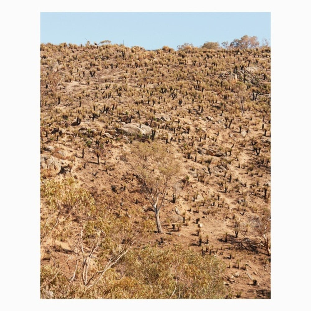 Andrew Pekler  & Ielasi,Giuseppe - Palimpsests [LP] Vinyl Record