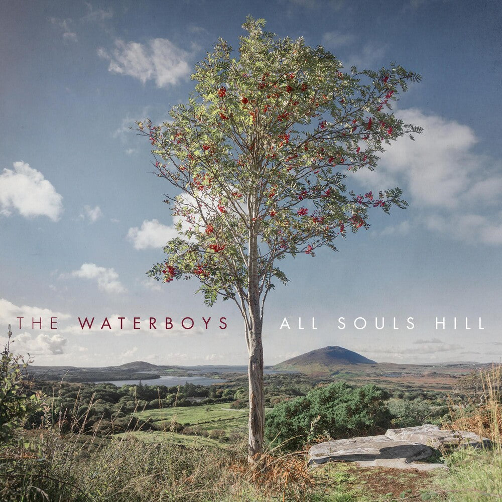 The Waterboys - All Souls Hill [LP] Vinyl Record