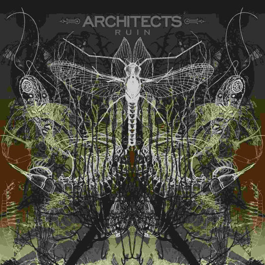 Architects - Ruin (Can) [LP] Vinyl Record