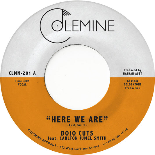 Dojo Cuts - Here We Are (Coke Bottle Clear) [Colored Vinyl] [Clear Vinyl] Vinyl Record