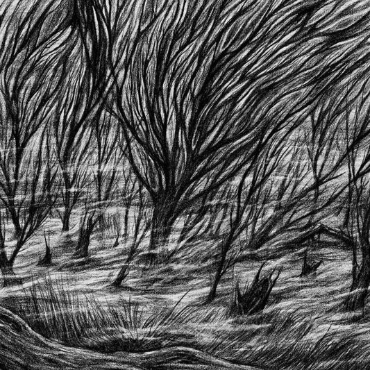 Bismuth - The Eternal Marshes [LP] Vinyl Record
